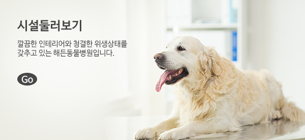 이미지명